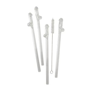 Sada skleněných brček Glass Drinking Straw Willy