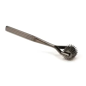 Neurologické kolečko Liebe Seele X-Rose Five-Row Wartenberg Pinwheel šedé