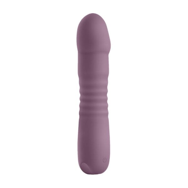 Vibrátor NS Novelties Lust-n-Dreams Poise fialový